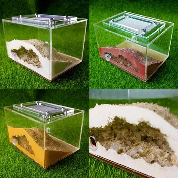  DIY Mini Imitație Ecologice Ipsos Cuib de Companie Fermă de Furnici Atelier Acasă Terariu Reptile Cutie